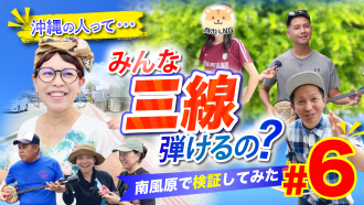 新しい動画を公開！！