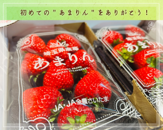 かなぐすくブログ-7